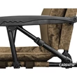 Delphin RSC Carpath