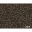 Delphin RSC Carpath