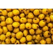 My-Baits - rainbowsix fluoro tiger nuts – pineapple bitch 150 ml