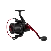 Delphin raya 55 y body