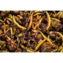 My-Baits - macromix “wormageddon” – PVA Friendly - 3l