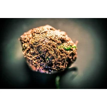 My-Baits - ringpull bloodworms “blood &amp; honor” - 100 ml