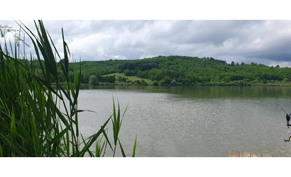 Vadkan tavi kalandok- Amúrok a láb alól!