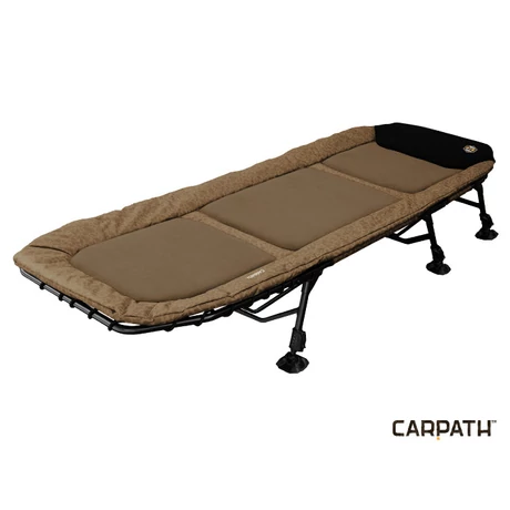 Delphin GT6 Carpath