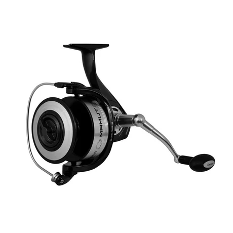 Delphin mamut Delphin mamut