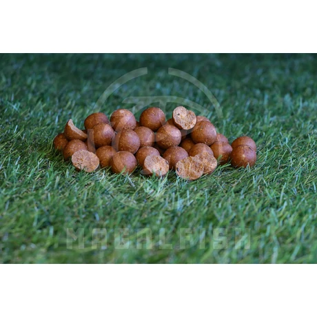 Magalbaits citrus bojli