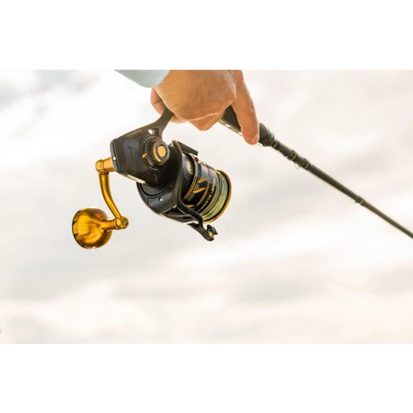 Penn slammer IV spinning