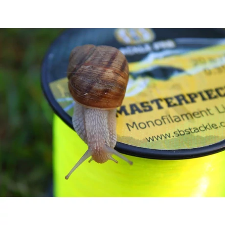 SBS masterpiece monofil főzsinór